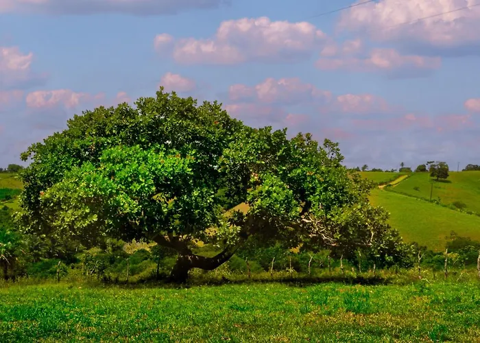 Fazenda Hotel Serra Da Copioba