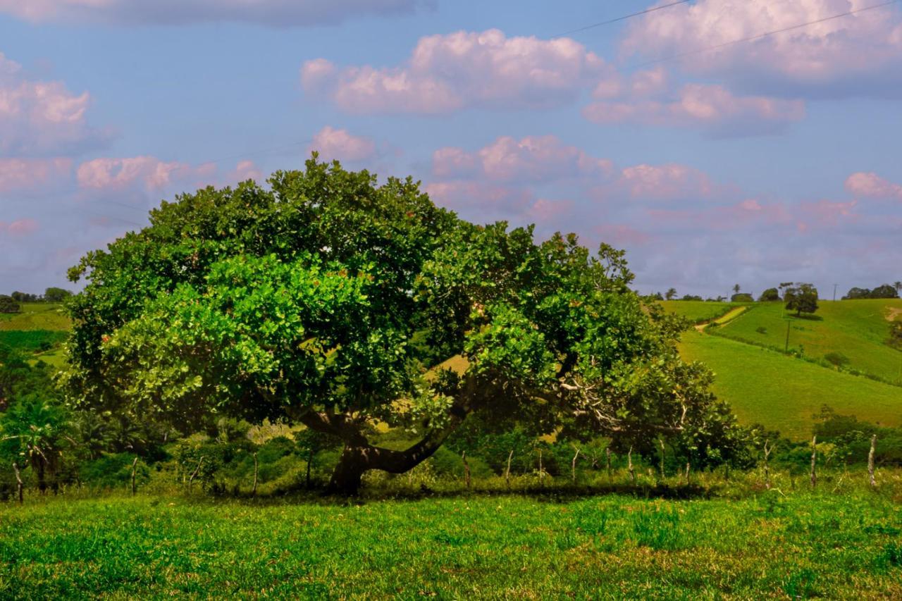 Homestay Fazenda Serra Da Copioba