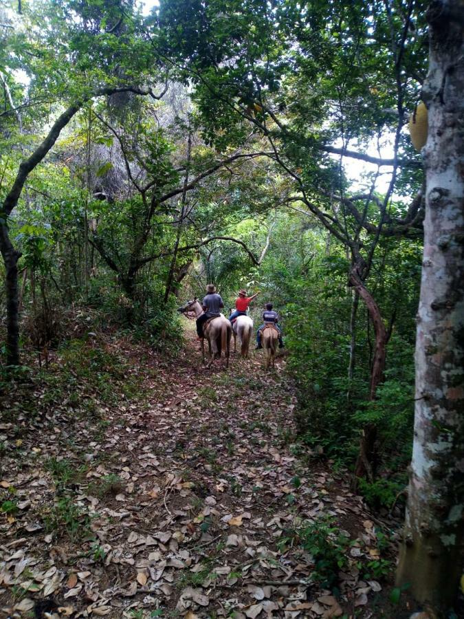 Fazenda Serra Da Copioba Homestay