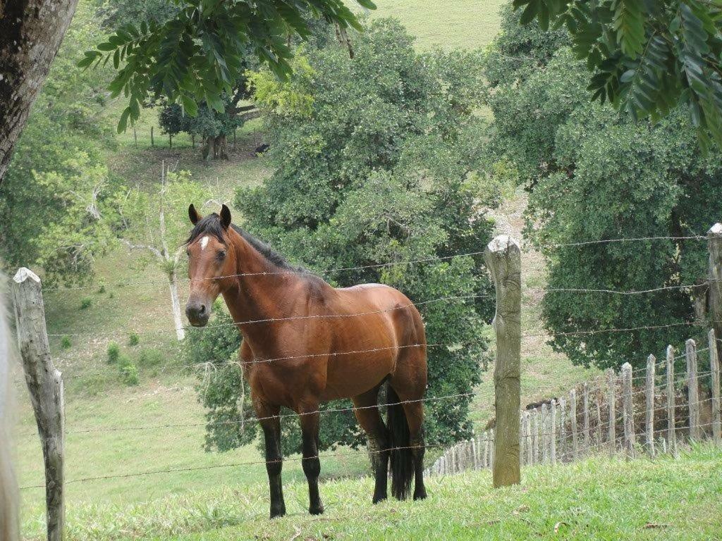 Fazenda Serra Da Copioba *
