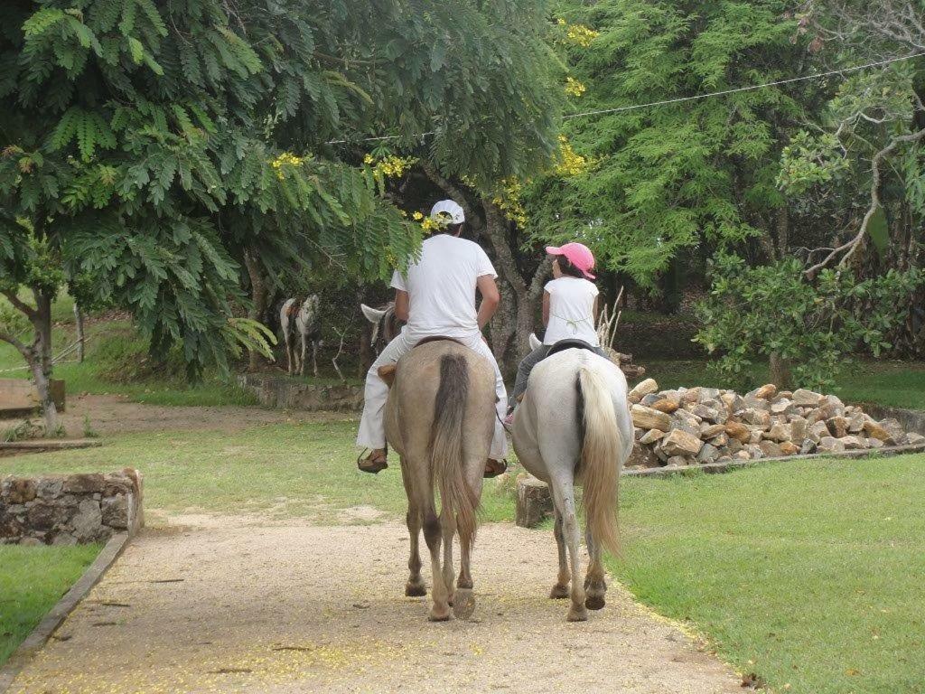 Fazenda Serra Da Copioba Homestay *