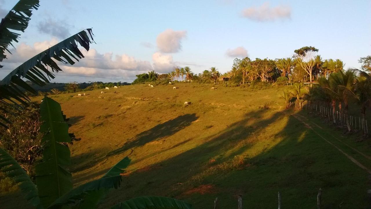 Fazenda Serra Da Copioba *